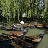 Embarcadère dans le Marais Poitevin